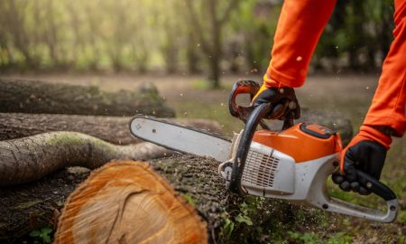 drujba, lant drujba, taiat lemne, taiere lemn