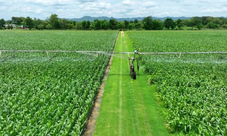 O imagine cu o fermă durabilă și infrastructura sa