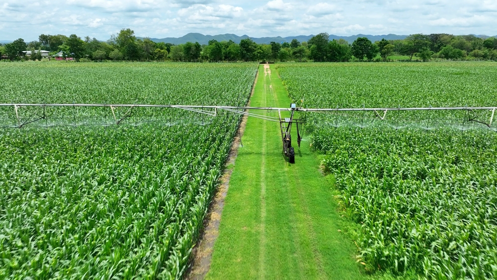 O imagine cu o fermă durabilă și infrastructura sa